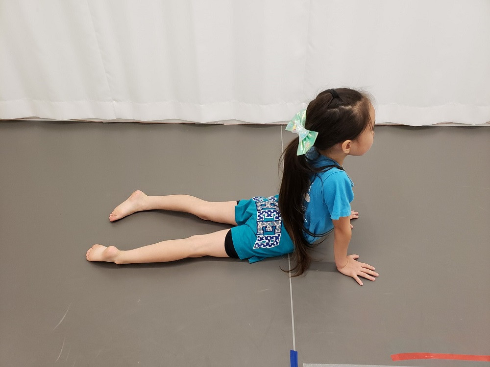 動物なりきりあそび　あざらし