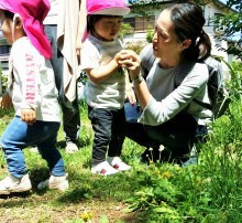 プレ・ベビーチア-2