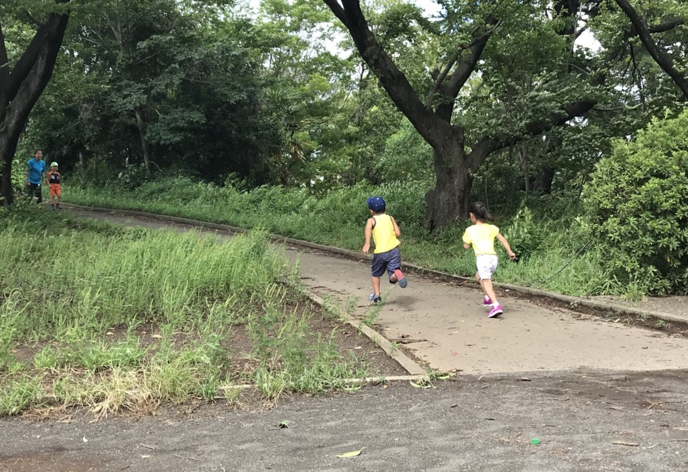 かけっこ教室の坂道ダッシュ