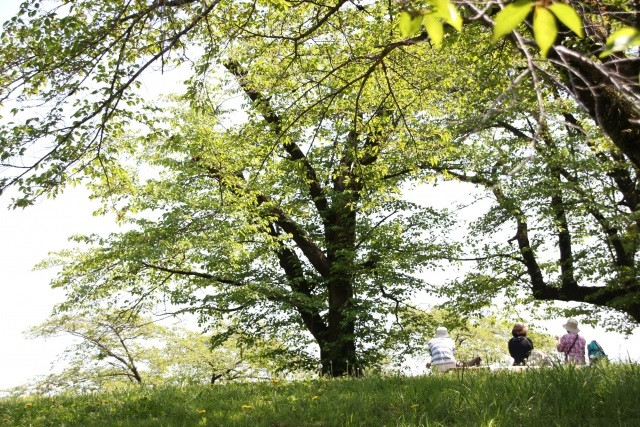 【レポート】自然を感じながらハイキング！ 心身の発達を促す幼稚園の体操指導。